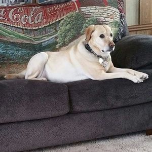 Meet your Posher, Nancy